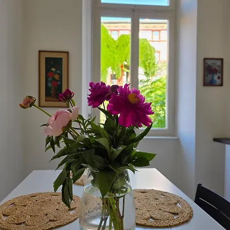 Palacinema - Old Town * Локарно