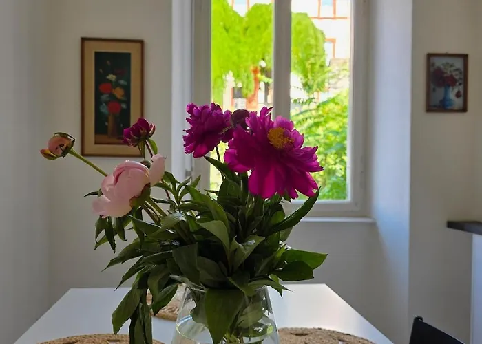 Palacinema - Old Town * Locarno